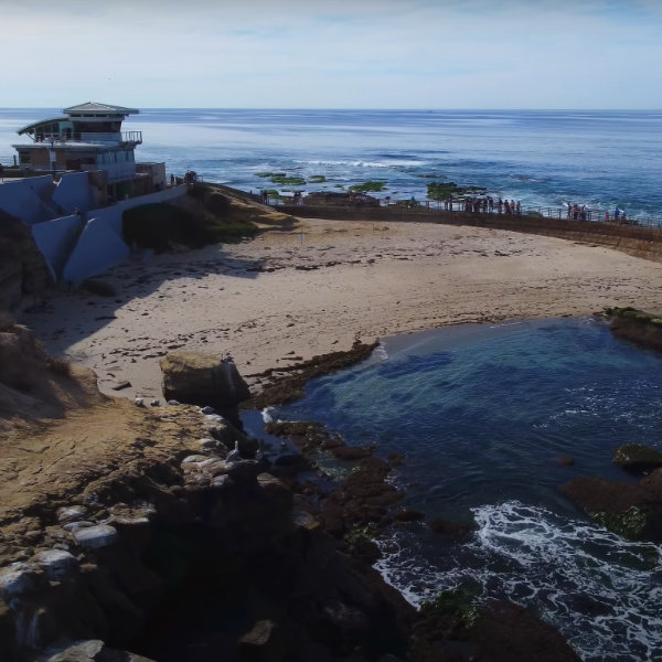 Real Estate Digital Media & Marketing Justin Dickey